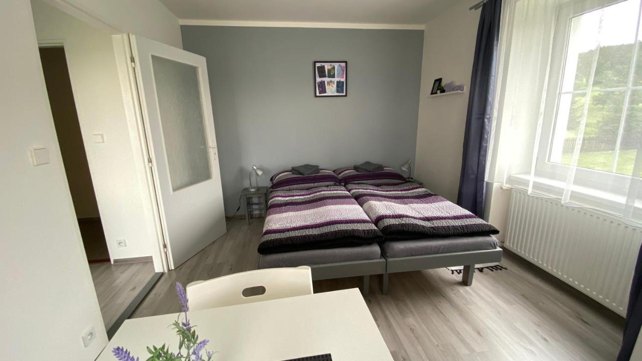 Penzion Kamejk Kamyk nad Vltavou Εξωτερικό φωτογραφία